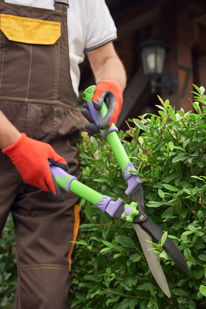 Pourquoi choisir Habitat Services ?