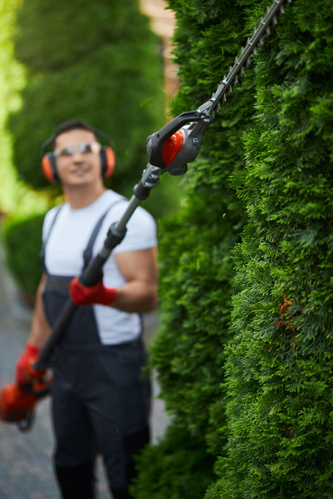 Pourquoi choisir Habitat Services ?